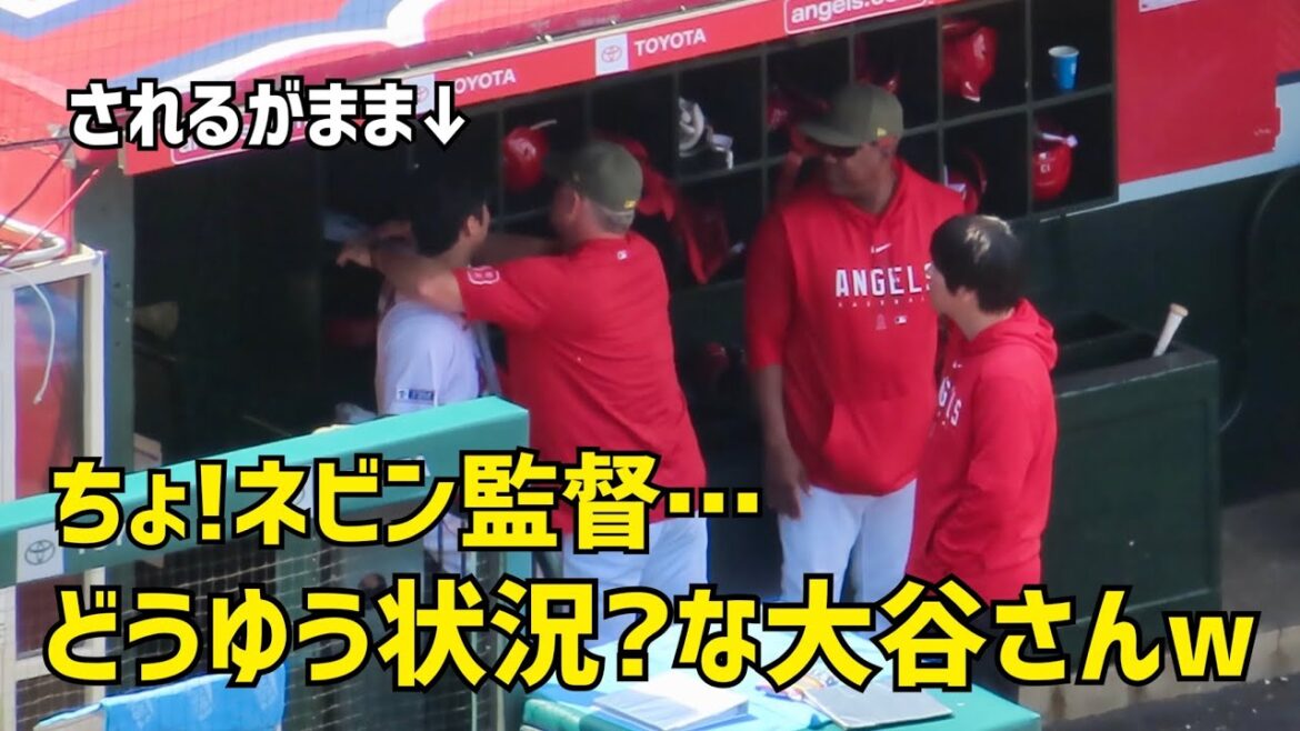 Hé! Directeur Nevin... A Otani-san, pourquoi ?L'action était trop drôle avec Angels Shohei Ohtani Images locales