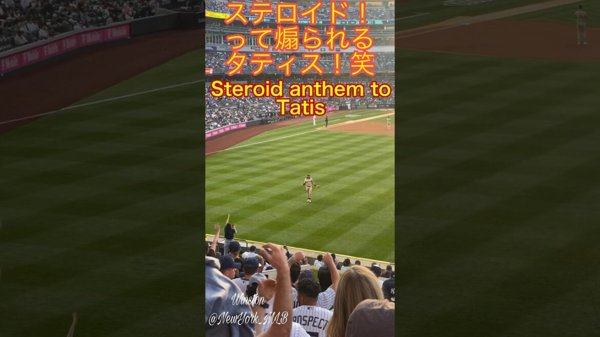 Le collègue de Darvish, Tatis, est excité ! Steroid Call Tatis Hymne aux stéroïdes des fans de #RepBX #newyorkmlb