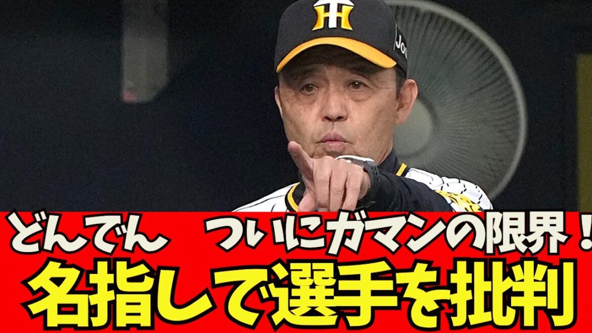 [Triste nouvelle]La limite de patience du réalisateur Hanshin Donden Okada ! Critiquez les joueurs par leur nom !  ![Quelle réaction J]