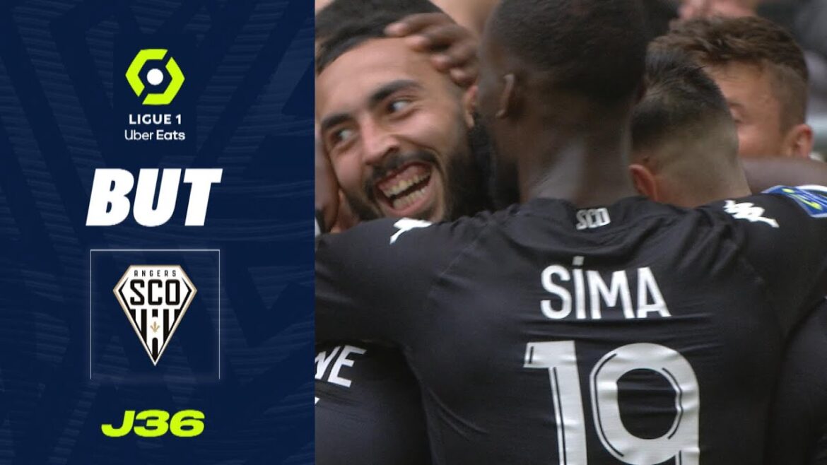 But Himad ABDELLI (60' - SCO) STADE DE REIMS - ANGERS SCO (2-2) 22/23