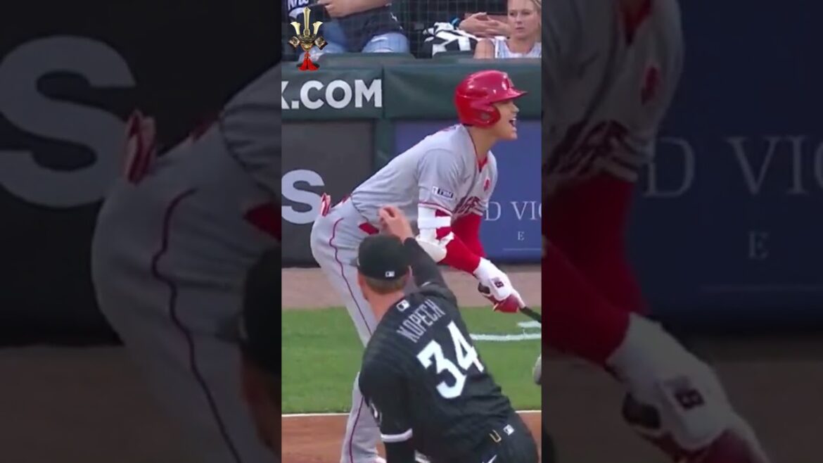 Shohei Ohtani a frappé par lancer à 95 mph le 05292023 contre les White Sox. Shohei Ohtani a frappé par lancer à 95 mph le 05292023 contre les White Sox.