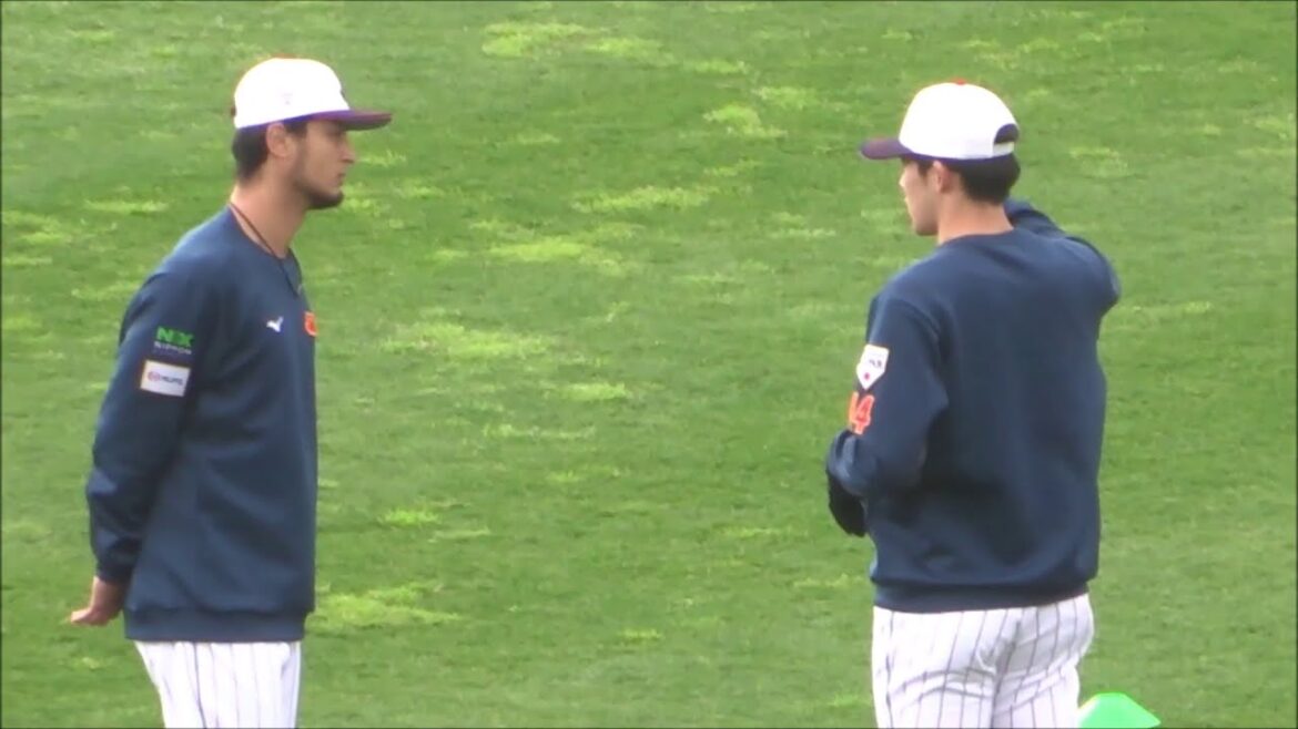 Yu Darvish et Aki Sasaki ~ Camp SAMURAI JAPON Miyazaki 2023 ~