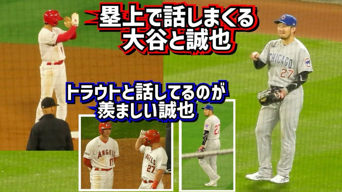 Seiya, qui est jaloux de la relation entre Ohtani et Trout, voit un cancer 😂 Les deux sont de bons amis et se parlent de loin[Vidéo locale]6/6 vs Cubs ShoheiOhtani Angels