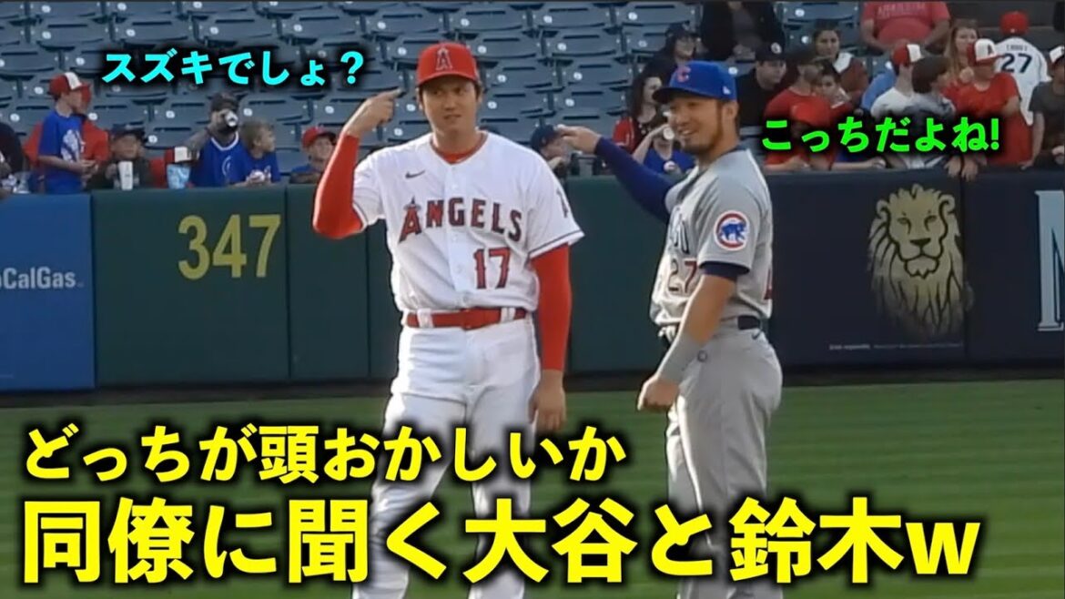 C'est trop drôle w Demandez à Swanson lequel est fou Otani et Seiya Suzuki w[Vidéo locale]Angels vs Cubs Round 3 6/9