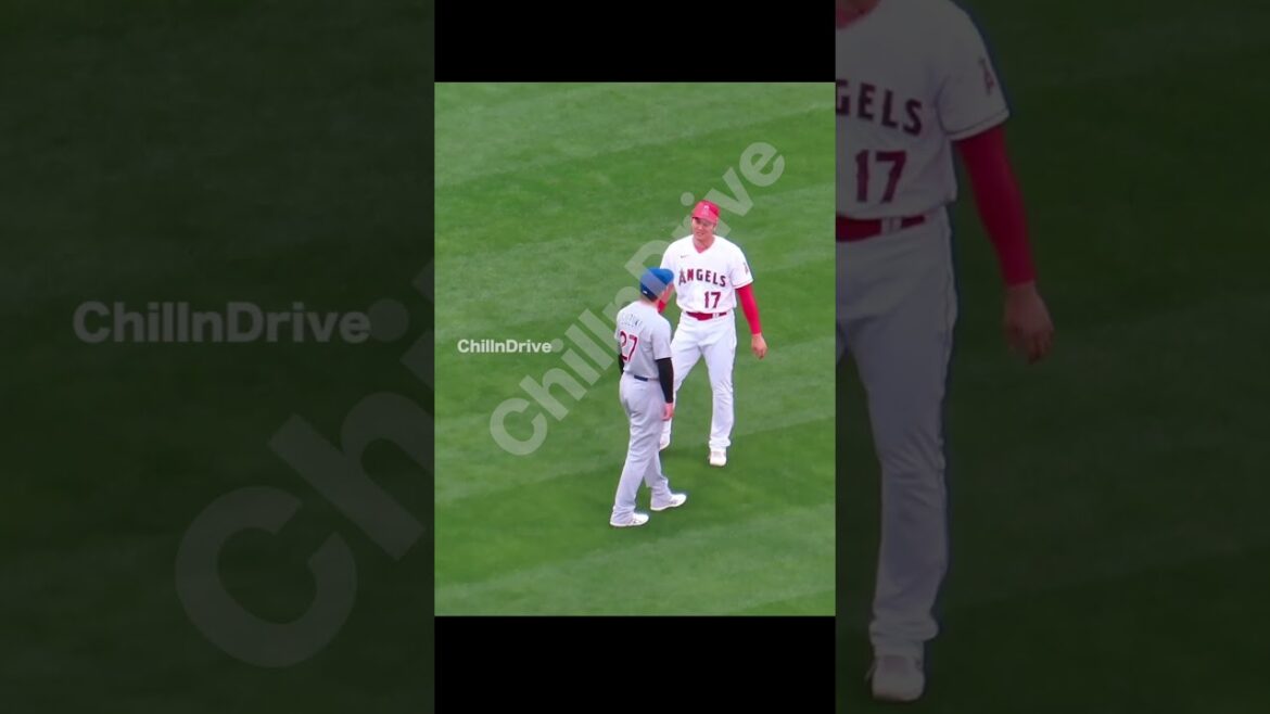 Otani qui attrape le bon ami Seiya Suzuki lol Le sourire était trop mignon du câlin #shorts #short #shoheiohtani #enzels #angels