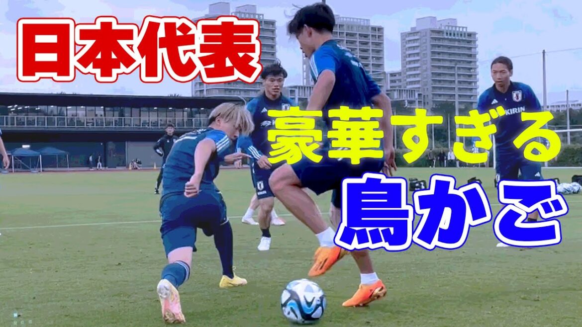 Takefusa Kubo, Kaoru Mitoma, Daichi Kamata, Kyogo Furuhashi ! "Cage à oiseaux" trop luxueuse représentant le Japon