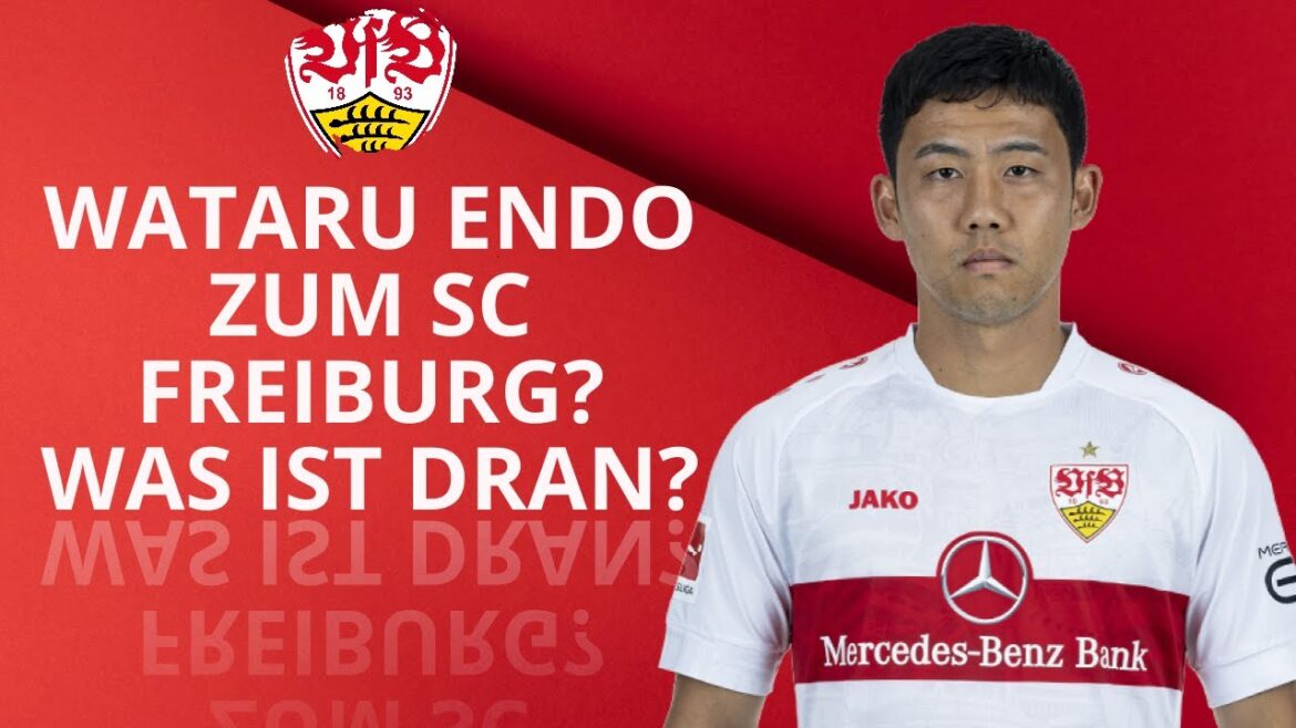 WATARU ENDO AVANT DE PASSER AU SC FREIBURG !?😱 |  QU'EST-CE QUE C'EST ? TRANSFER NEWS - VfB Update⚪🔴