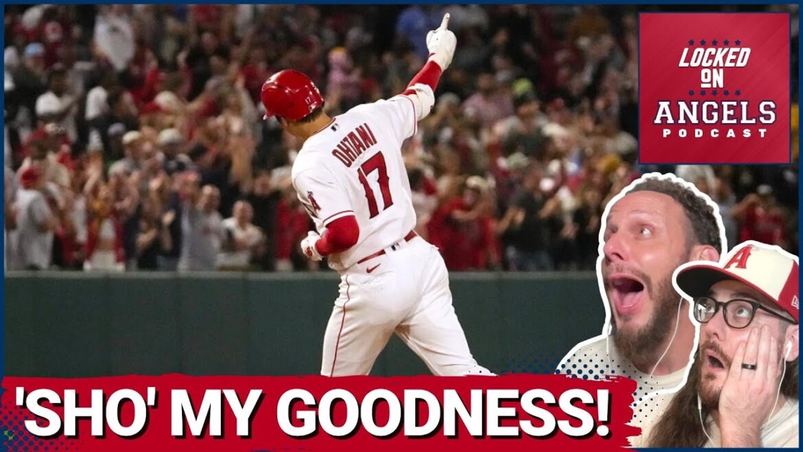 Shohei Ohtani EST INRÉEL !  Halo GAGNE !  Pourquoi la profondeur des Los Angeles Angels est BEAUCOUP meilleure en 2023 qu'en 2022 !