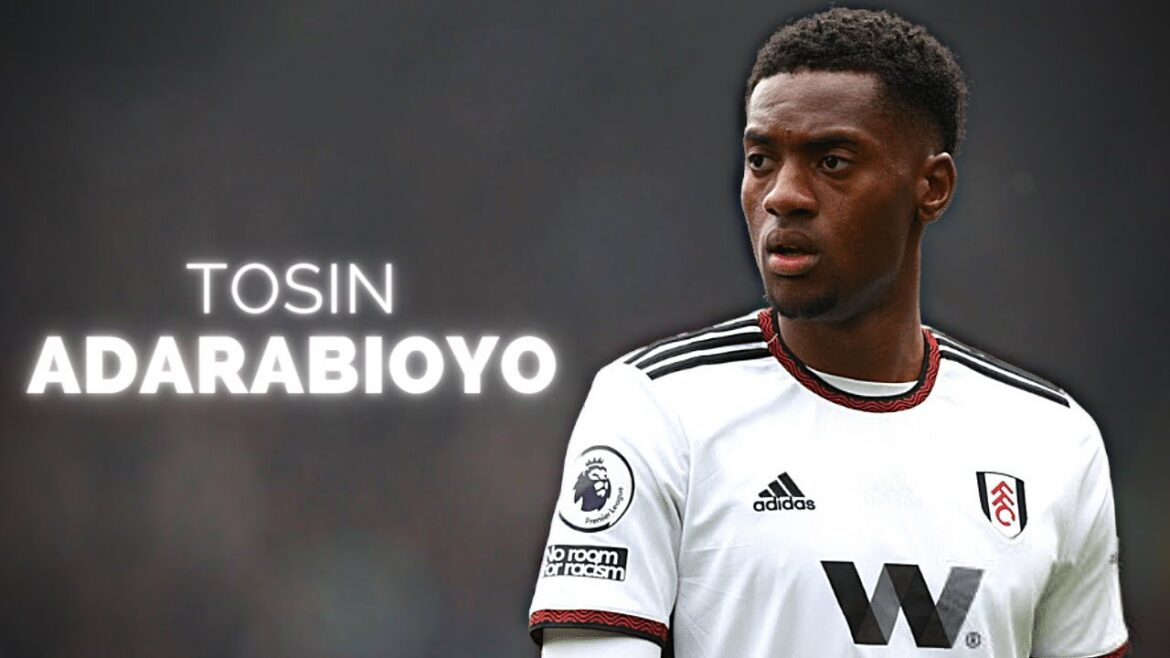 Tosin Adarabioyo - Défenseur sous-estimé |  2023