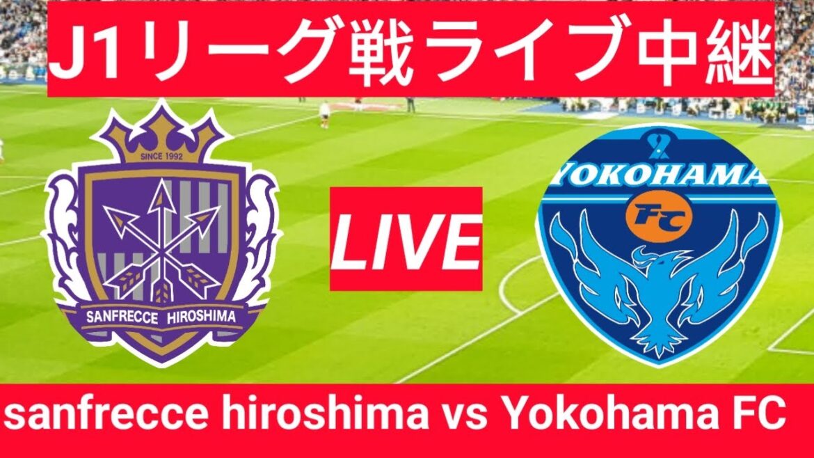 Yokohama FC contre Sanfrecce Hiroshima Match de football en direct | Japon J1 League Match