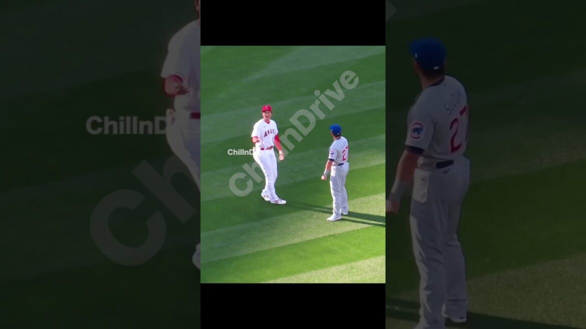 M. Otani qui est surpris en train de flirter avec Stable même le dernier jour du match lol Shohei Otani et Seiya Suzuki #shorts #shorts #Shohei Otani #shoheiohtani #Angels #angels