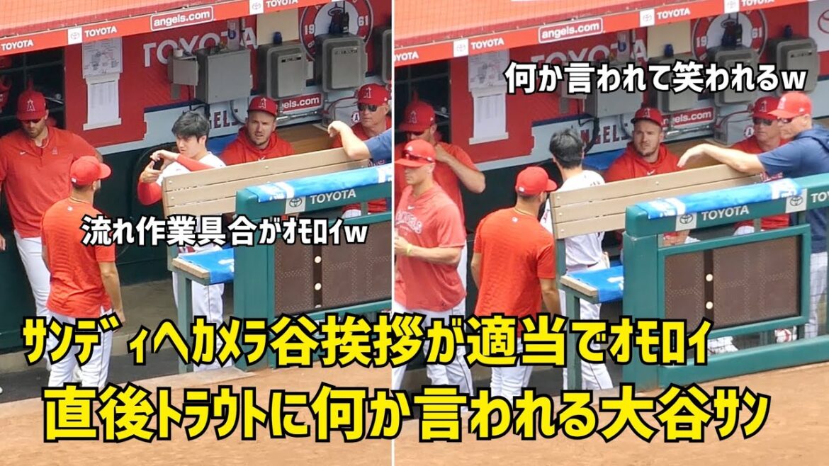 M. Ohtani se fait dire quelque chose par la truite M. Ohtani avant le match est intéressant.