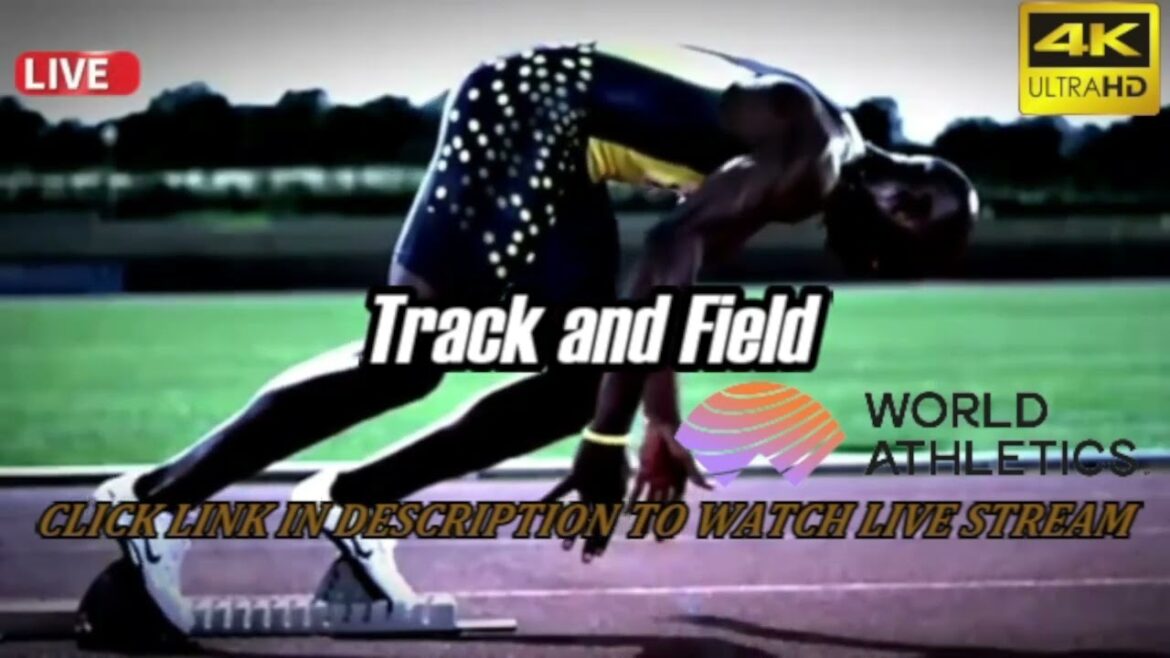 1500 m Femmes Finale Meeting de Madrid 2023 - Athlétisme