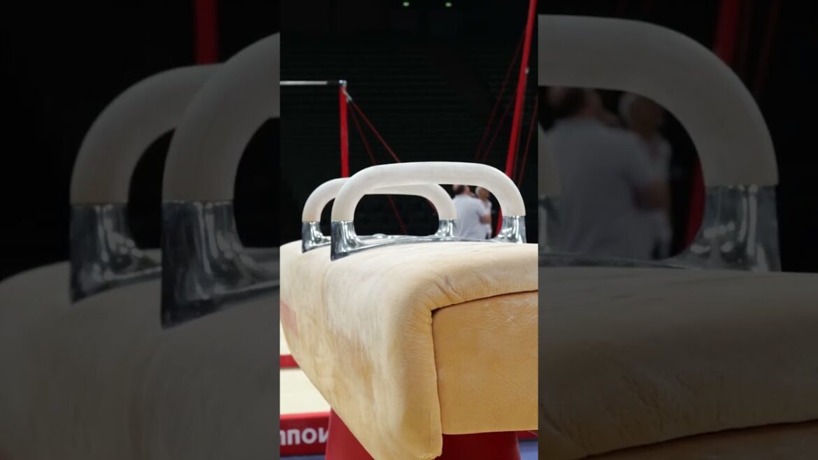 Le weekend dernier, l’Arena Bercy s’est mise aux couleurs des Internationaux de Gym ! #paris2024