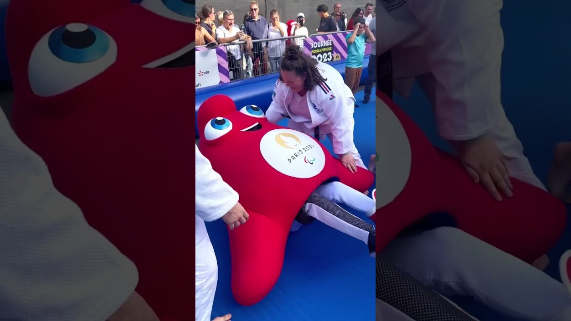 Vis ma vie de Phryge #1 🧸