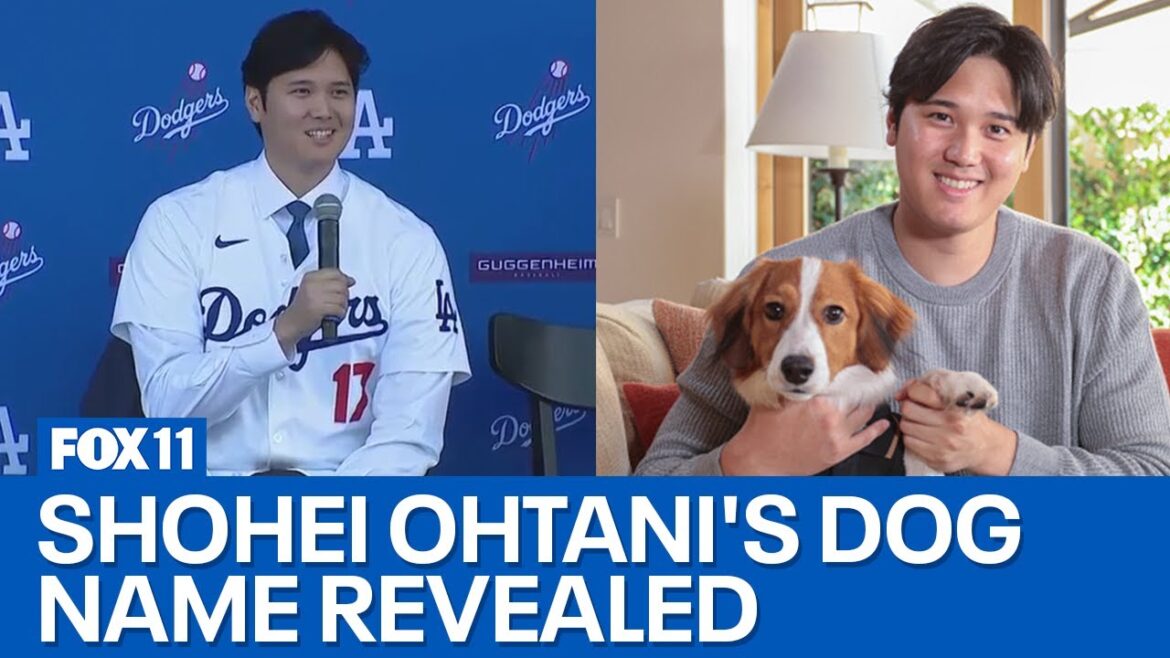 Shohei Ohtani révèle le nom de son chien
