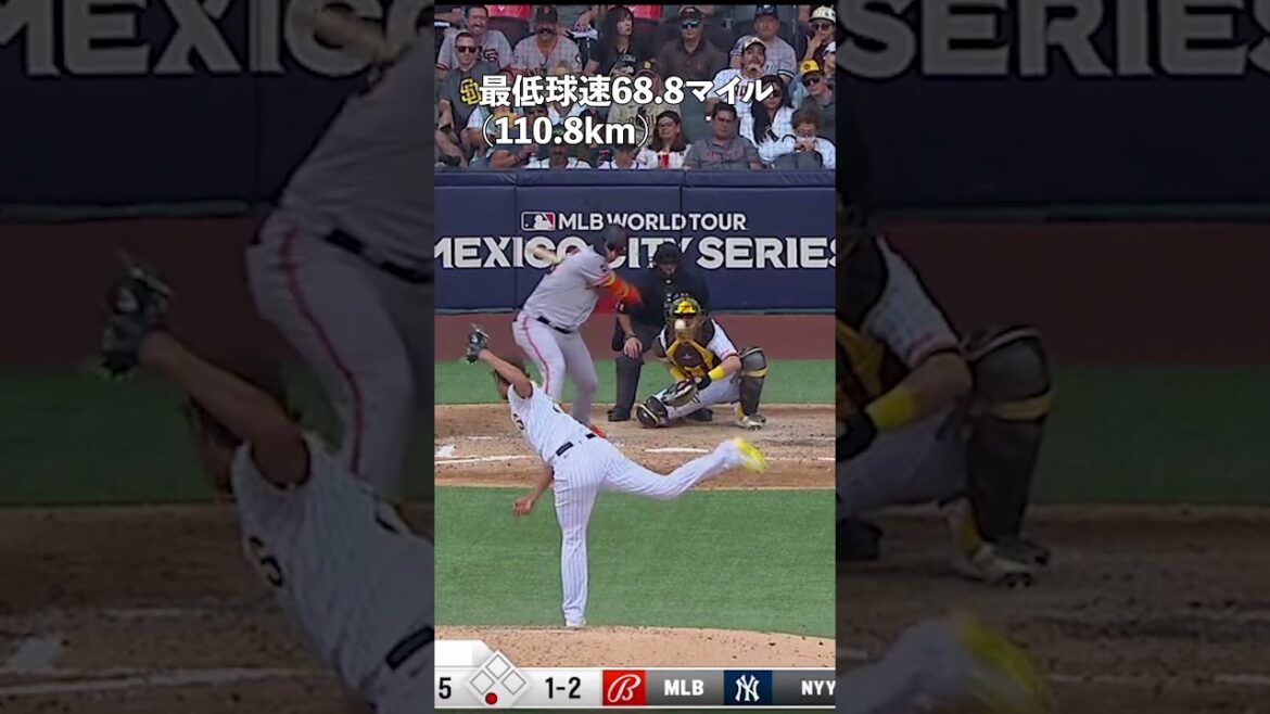J'ai collectionné divers n°1 de Yu Darvish en 2023 #shorts #Yu Darvish