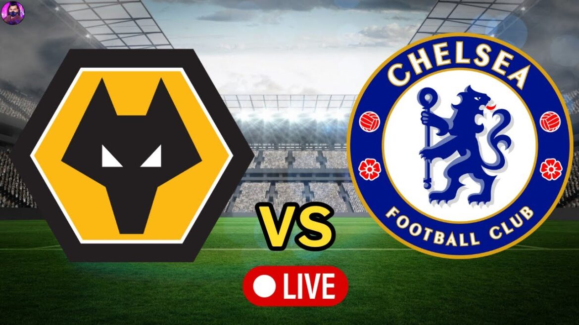 Wolves contre Chelsea en direct | Premier League 2023