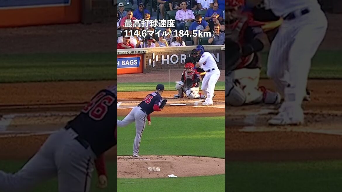 J'ai collectionné divers n°1 de Seiya Suzuki en 2023 #shorts #Seiya Suzuki