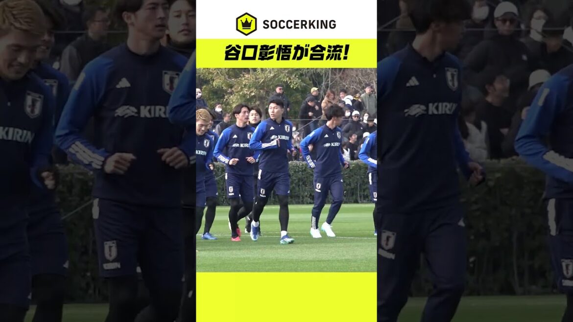 Shogo Taniguchi nous rejoint ! 24 membres représentant le Japon sont là🇯🇵 #SAMURAIBLUE