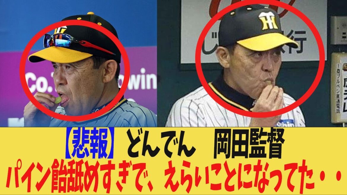 [Hanshin]Le réalisateur Okada a trop léché les bonbons à l'ananas et c'était embarrassant.  .  .[Commentaire]Réalisateur de Donden Okada Koji Chikamoto Takumu Nakano Yusuke Oyama Teruaki Sato Shohei Otani Shintaro Fujinami Roki Sasaki Masanao Yoshida