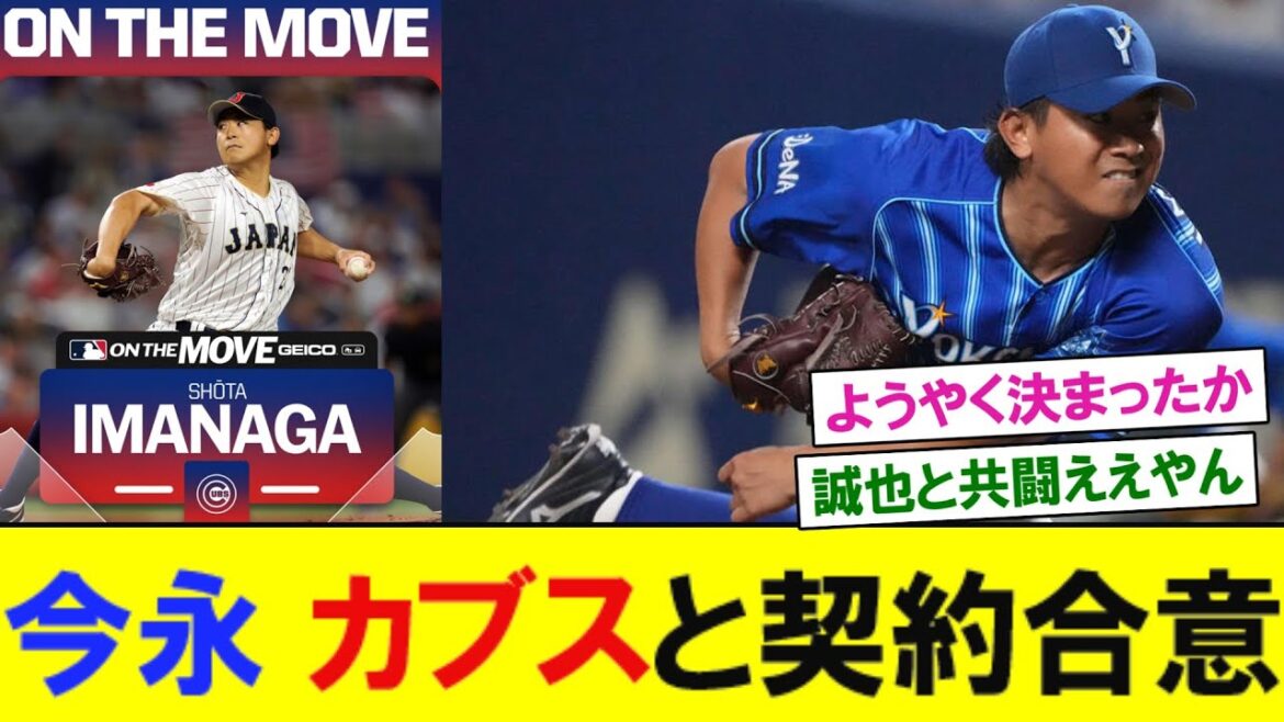 Shota Imanaga accepte de signer un contrat avec les Cubs de Chicago et devient coéquipier de Seiya Suzuki[Réaction du baseball professionnel]