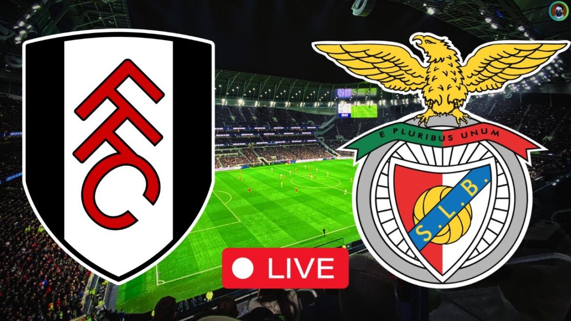Fulham x Benfica en direct |  Coupe internationale de Premier League 2024 |  Jeu complet aujourd'hui