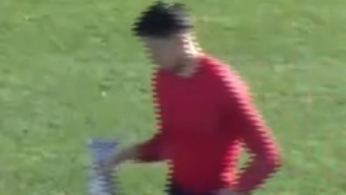 Schmidt Daniel 12 janvier