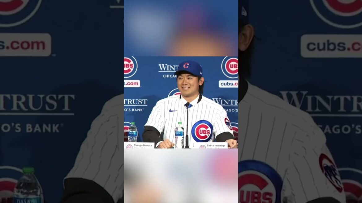 Shōta Imanaga va s'intégrer parfaitement à Wrigley Field.  🤣