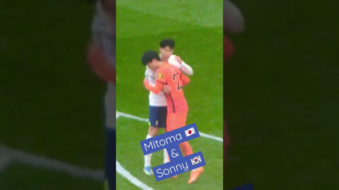 Mitoma et Heung Min Son ｜ Mitoma et Heung Min Son