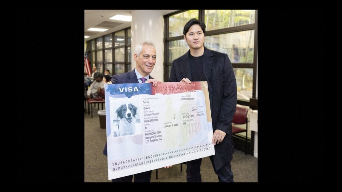 Le chien de la superstar du baseball Shohei Ohtani obtient un faux visa américain lors d'une visite à l'ambassade à Tokyo｜Shohei Ohtani｜Baseball｜MLB