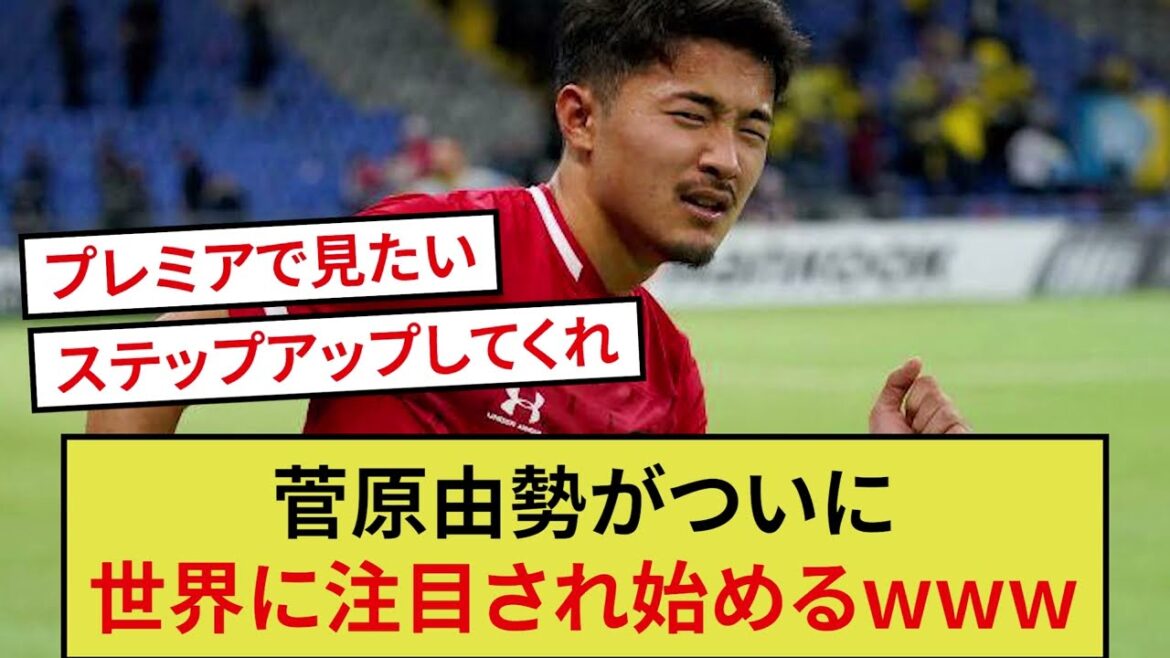 [Bonne nouvelle]Yusei Sugawara commence enfin à attirer l'attention du monde wwwwww