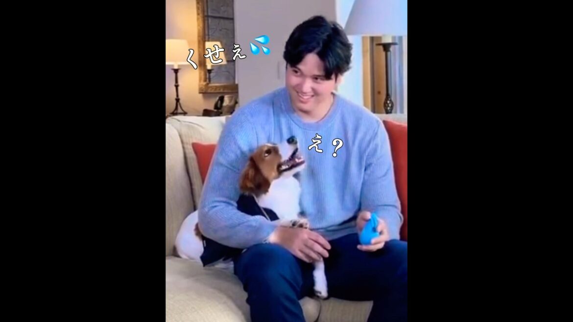 [Decopin]Je suis trop coquine et je finis par faire quelque chose #Shohei Otani #shoheiohtani #powerpro