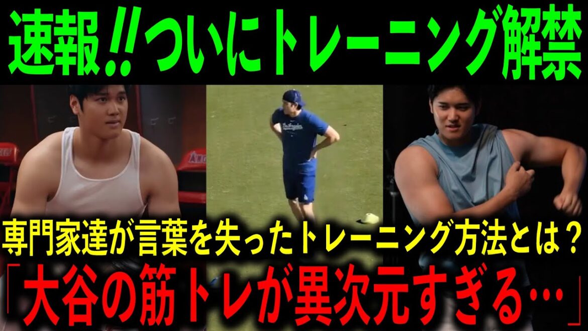 [Choquant]Même si c'est juste après une opération chirurgicale, le contenu de l'entraînement est anormal !  ?  « Tout a commencé avec Daru-san… » Même les médias américains ont été choqués[Shohei Otani][Réaction à l'étranger]