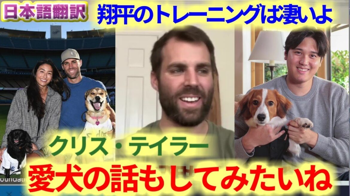 Chris Taylor parle de l'entraînement de Shohei Otani, qui a passé 20 minutes sur 20 swings d'entraînement. Je veux aussi parler de son chien. Avec sous-titres en japonais