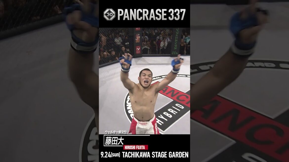 9.24 PANCRASE337 Dai Fujita poids welter #shorts