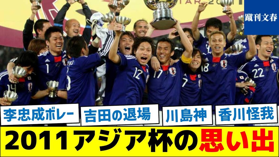 [Volée de Lee Taung-sung]Souvenirs de la Coupe d'Asie 2011[Zack Japon]