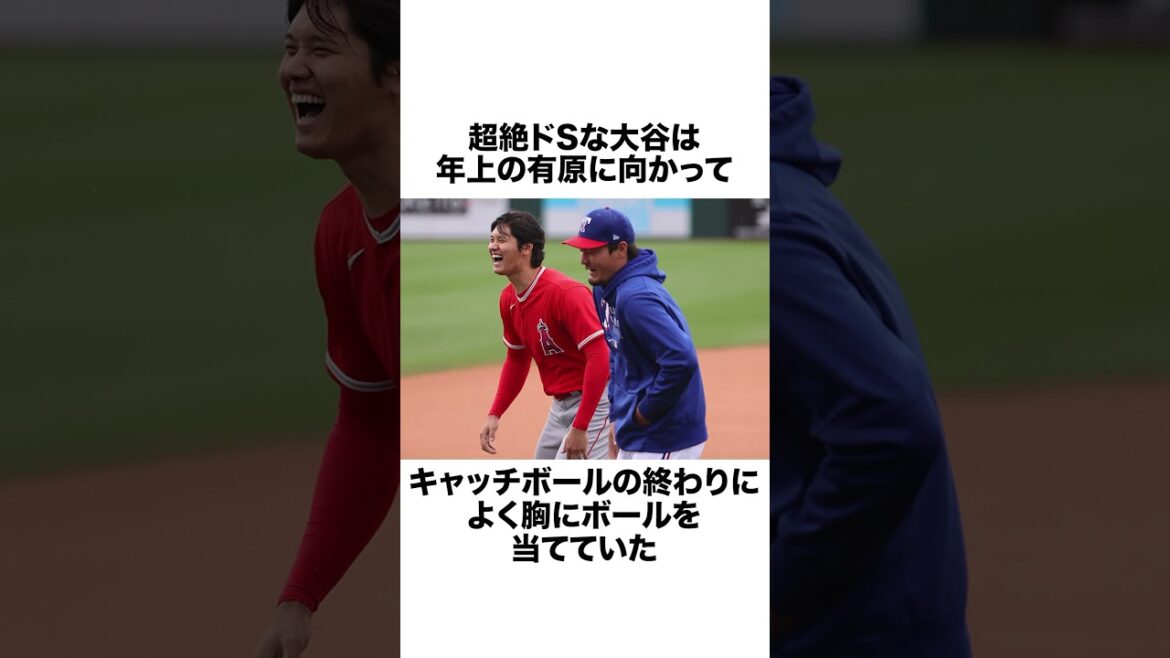 5 épisodes de Shohei Otani