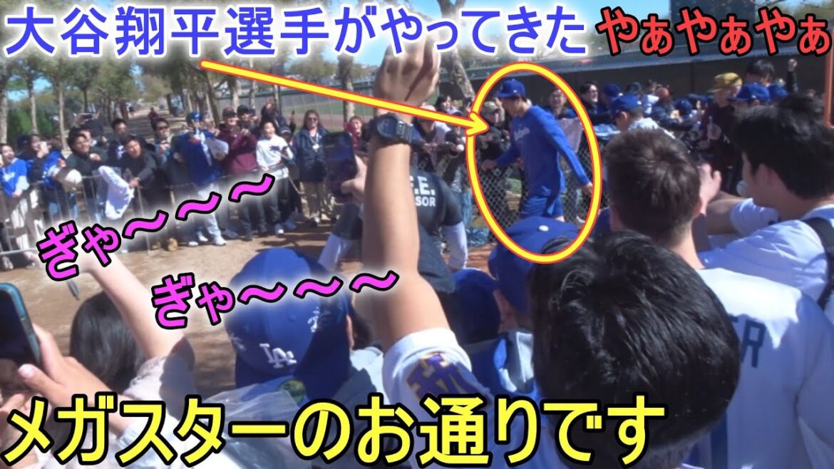 Shohei Ohtani signe des autographes pour les fans des Dodgers Shohei Ohtani 2024 Spring Training