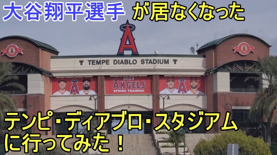 Je suis allé au Tempe Diablo Stadium où Shohei Otani était parti.[Shohei Otani]Tempe Diablo Stadium 2024 Anges