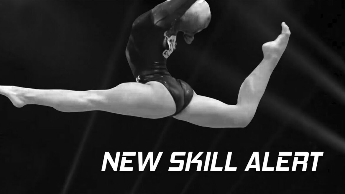 NOUVELLE ALERTE DE COMPÉTENCE 🚨 Rencontrez « le Danciu »