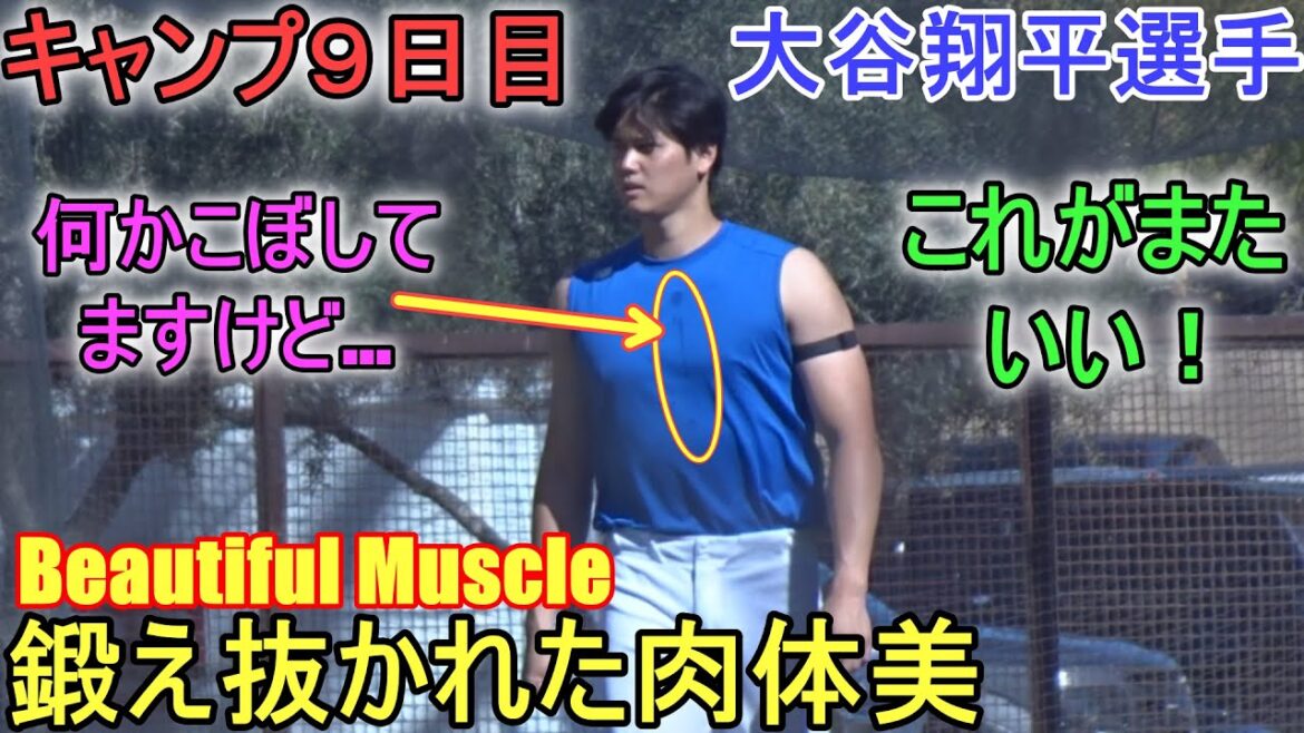 Une beauté physique bien entraînée ![Shohei Ohtani]~ Jour de camping 9 ~ Shohei Ohtani Jour d'entraînement du printemps 2024 9