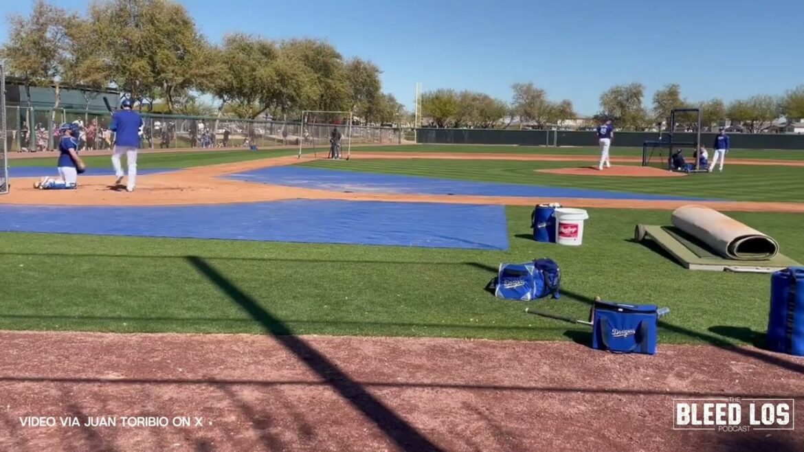 REGARDER : Shohei Ohtani premier LIVE BP et il frappe un Home Run