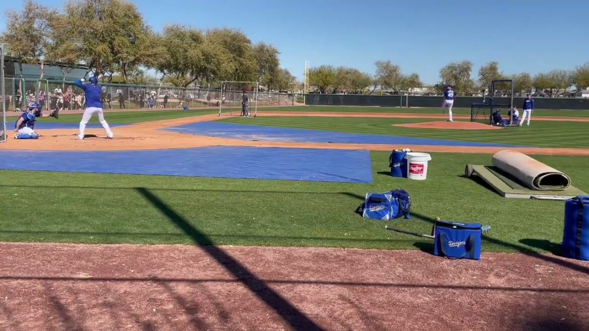 Shohei Ohtani contre Blake Treinen lors d'un entraînement au bâton en direct !