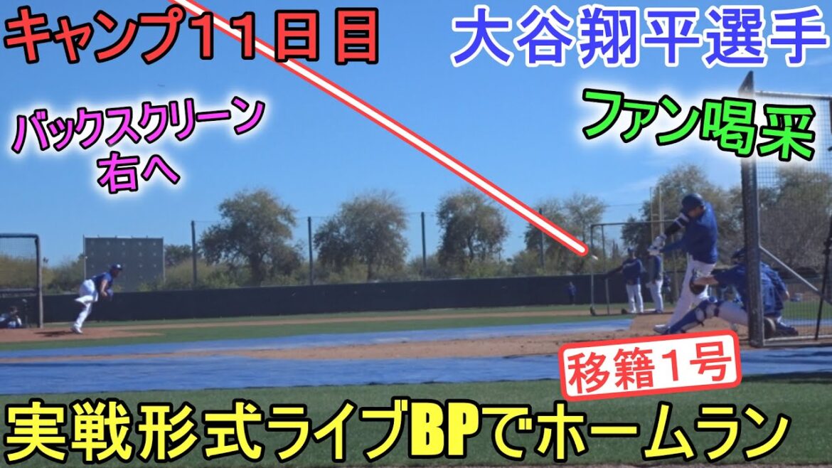 Les fans applaudissent avec un arc de balle à droite de l'écran arrière lors d'un jeu BP en direct !  (Au bâton uniquement) ~ Camp Day 11[Shohei Ohtani]Shohei Ohtani 2024 Live BP Spring Training