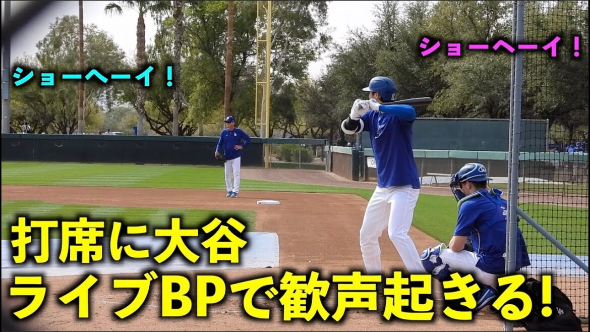 Montre-moi, hé ! Shohei Otani est applaudi lorsqu'il se tient au bâton pendant BP en direct ![Vidéos locales]Entraînement de printemps des Dodgers 2024[Entraînement de printemps]