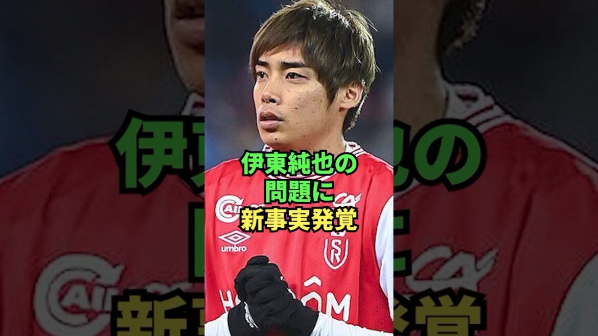 Nouveaux faits découverts concernant le problème de Junya Ito