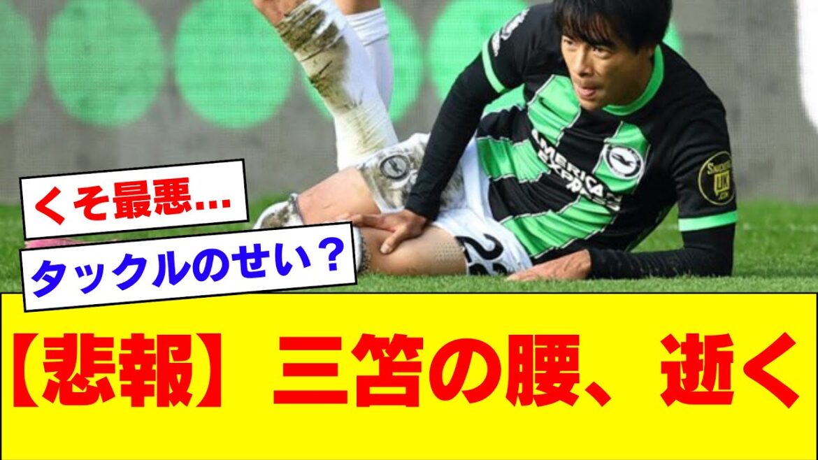 [Triste nouvelle]Brighton Tomokaru, victime d'un plaquage mortel, ratera le prochain match en raison d'une blessure au bas du dos.  .  .[Brighton]