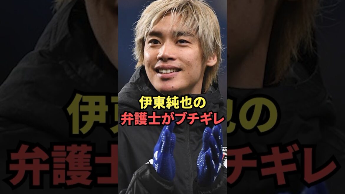 Les bévues de l'avocat de Junya Ito