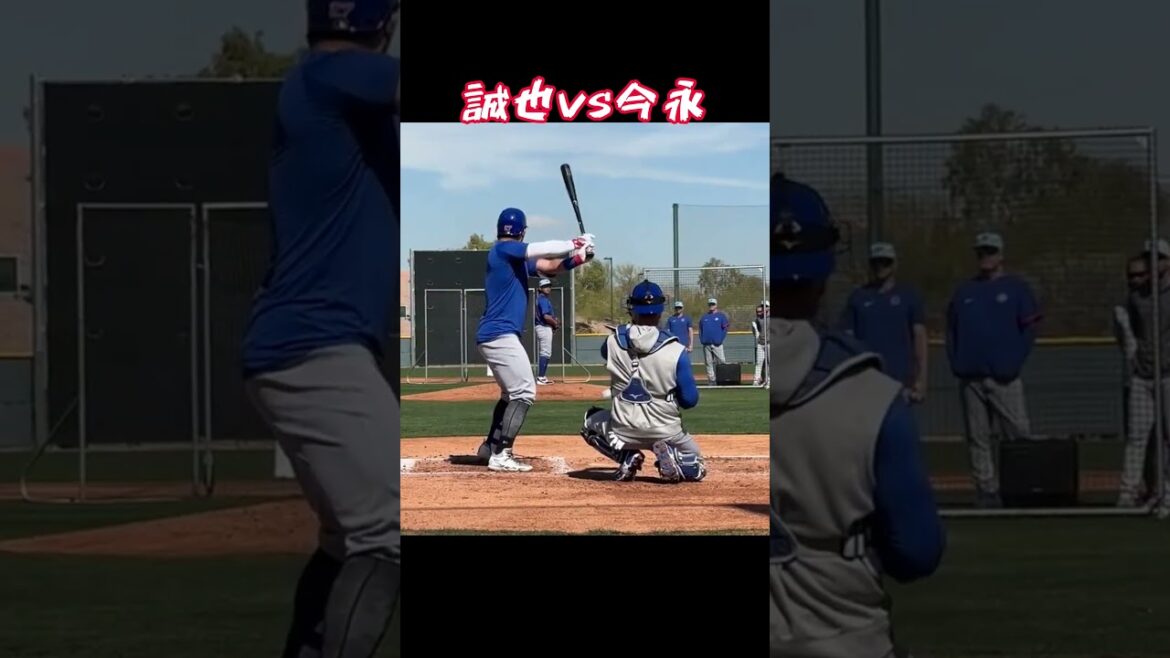 Seiya contre Imanaga ! #Baseball professionnel #Samurai Japan #Histoires de baseball #Seiya Suzuki #Shota Imanaga